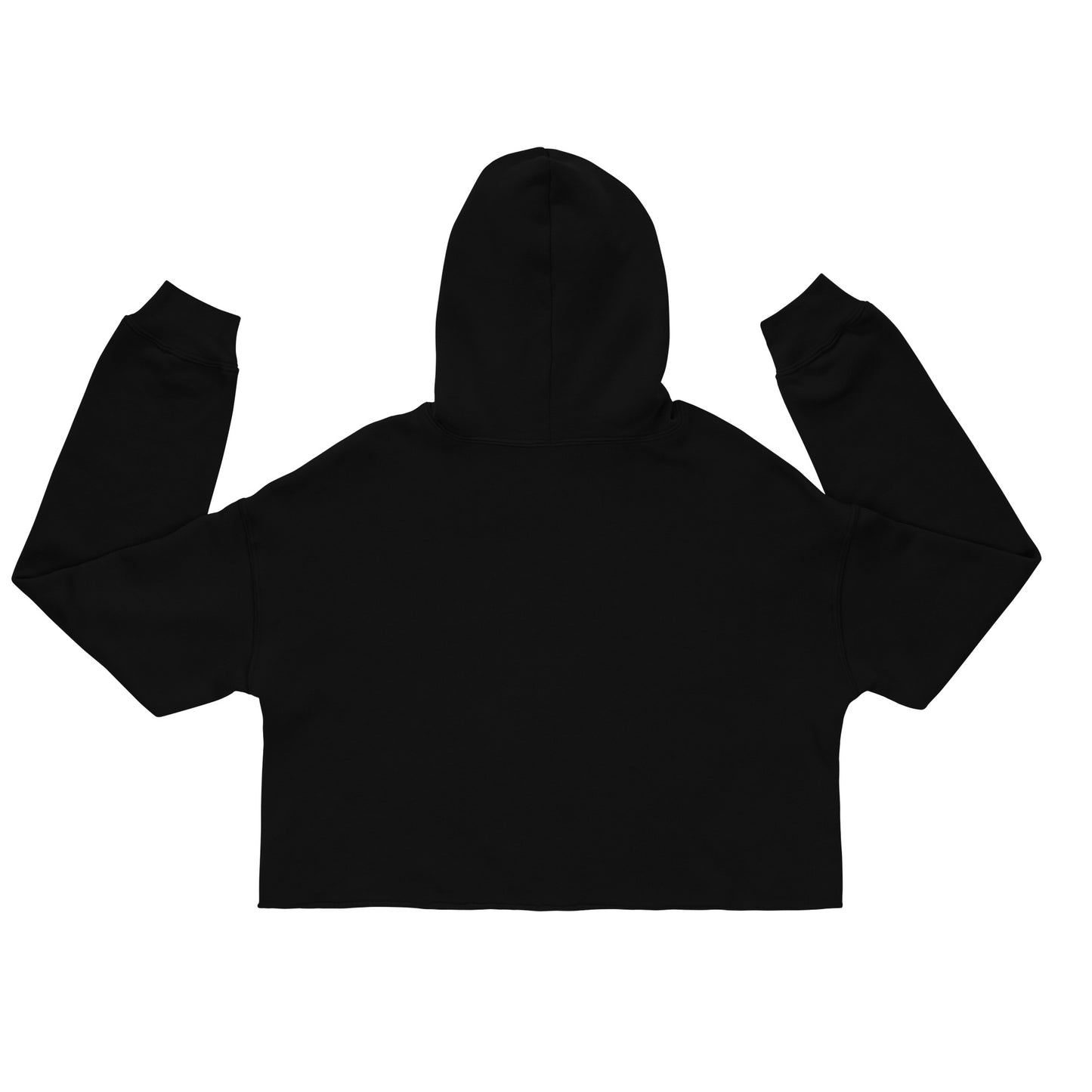 SISTERHOOD IS MEDICINE Crop Hoodie