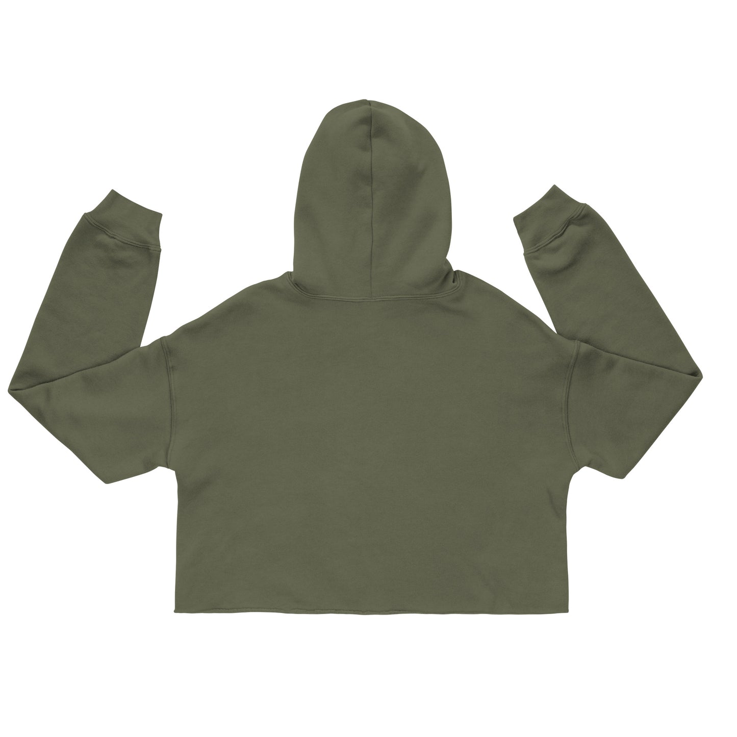 SISTERHOOD IS MEDICINE Crop Hoodie