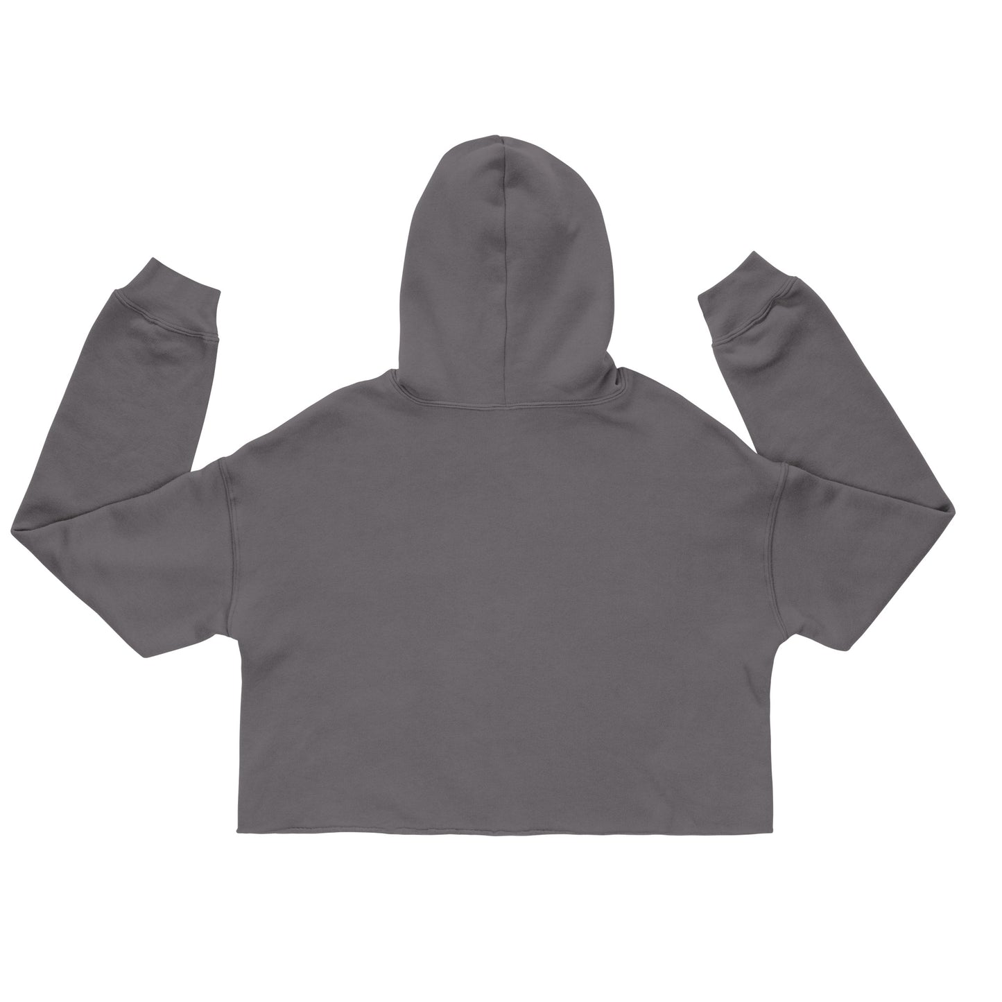 SISTERHOOD IS MEDICINE Crop Hoodie